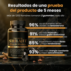 Shilajit  Himalaya